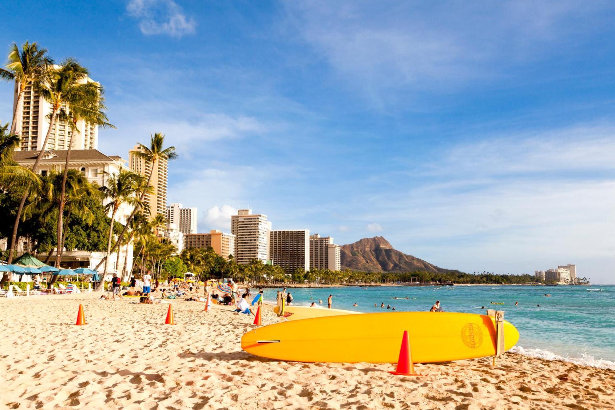 Apartment Ocean View Oasis With Free Parking, A Waikiki Gem!